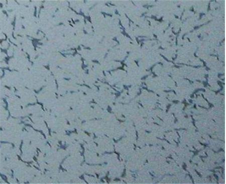 河南直鋪防靜電陶瓷地板